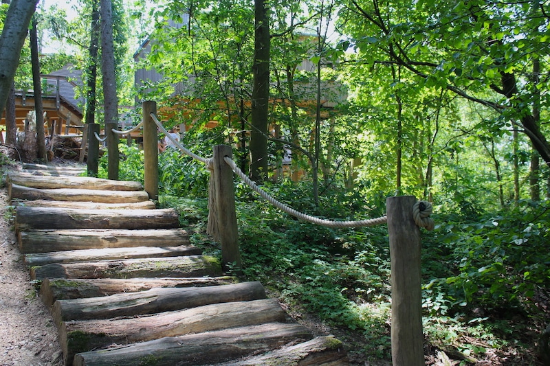 Die Wege im Panarbora werden überwiegend aus Naturmaterialien gestaltet. 