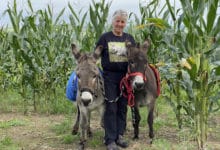 Für eine Eselwanderung ist Gislinde Schumacher immer zu haben.