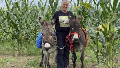 Für eine Eselwanderung ist Gislinde Schumacher immer zu haben.