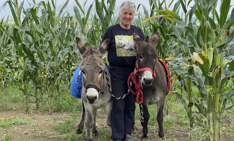 Für eine Eselwanderung ist Gislinde Schumacher immer zu haben.